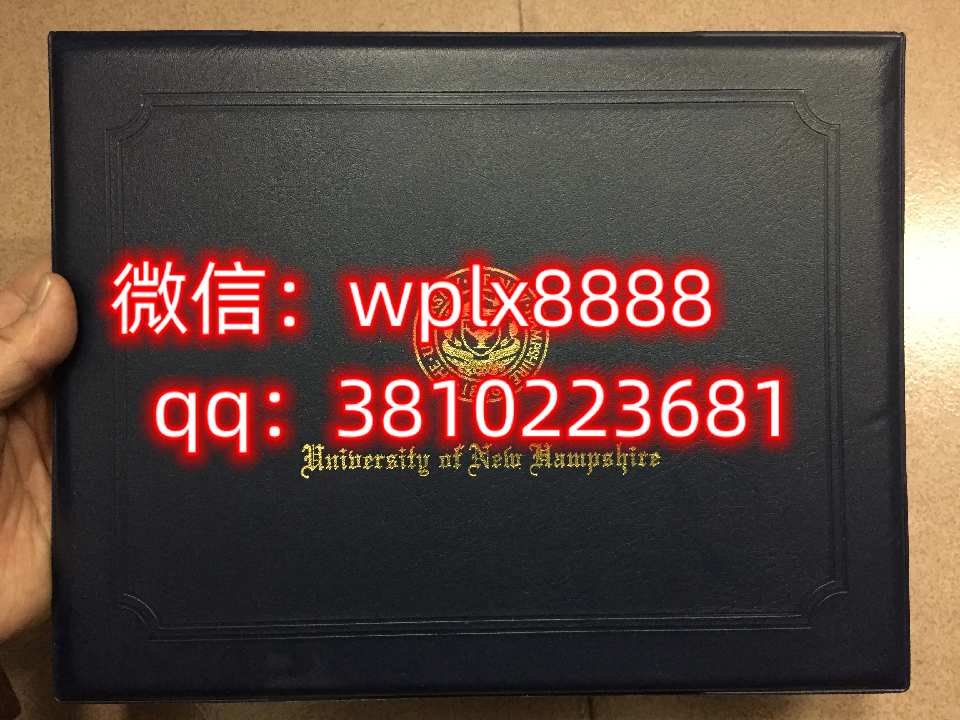 新罕布什尔大学