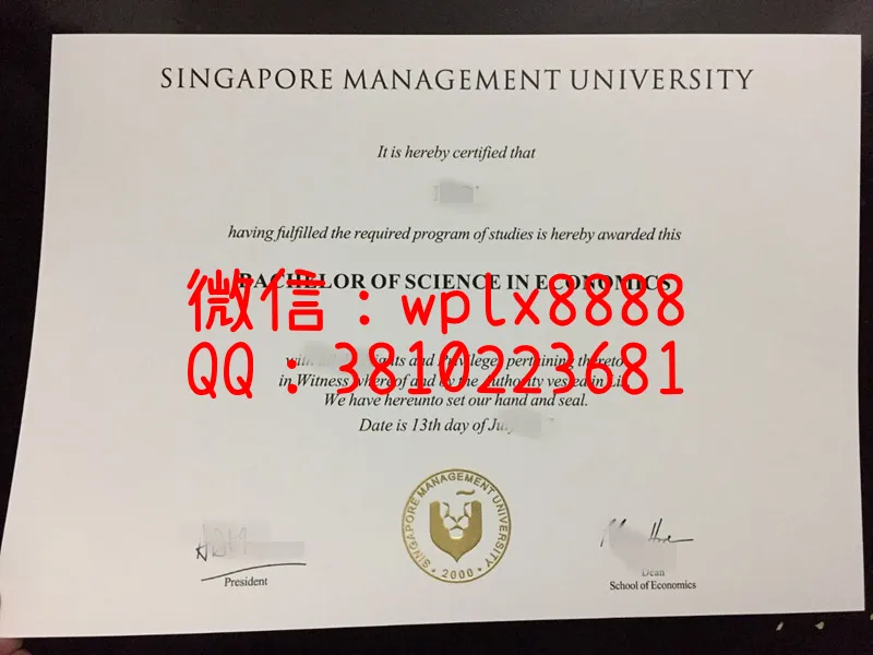 新加坡管理学院文凭实拍