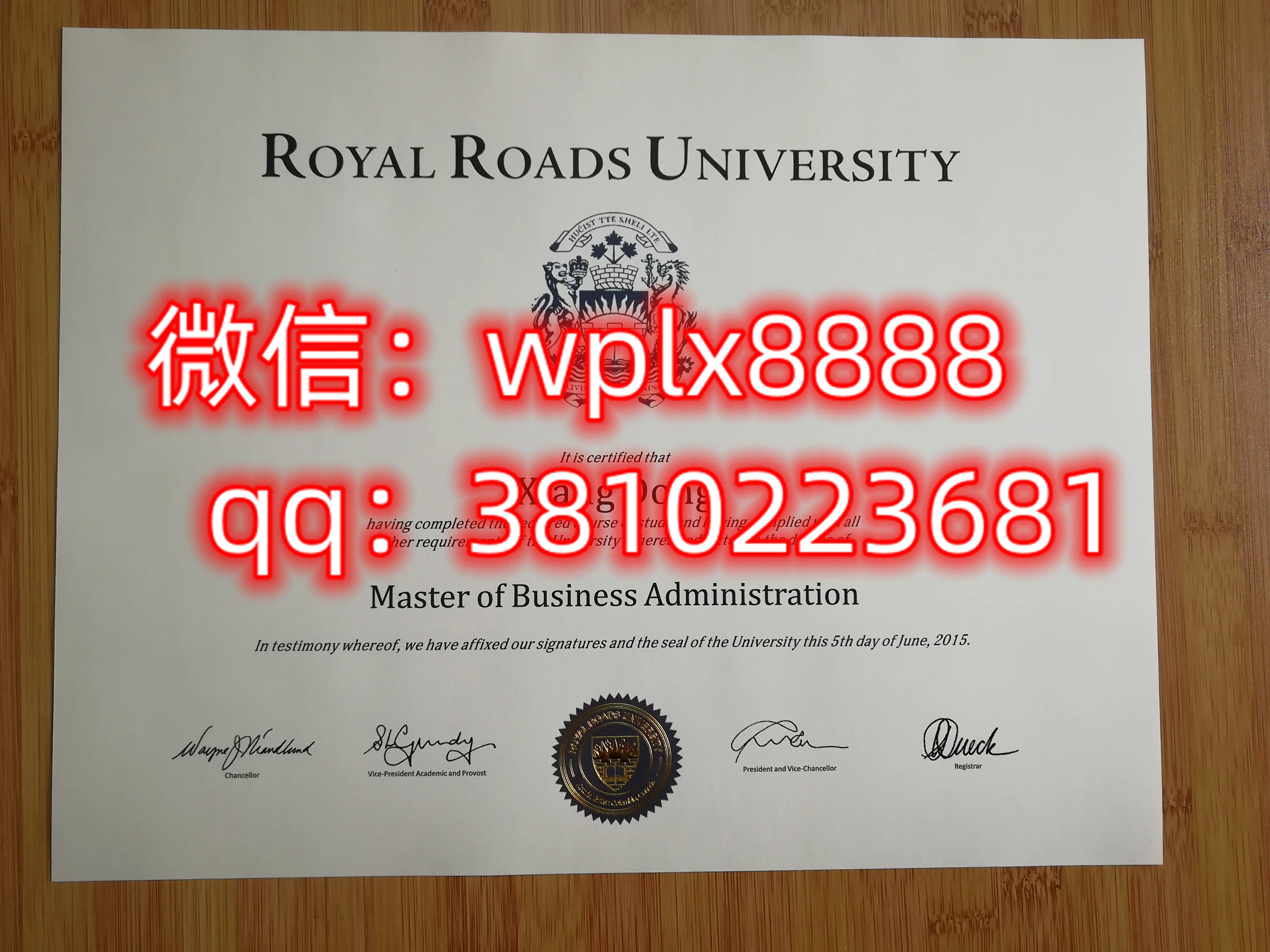 加拿大皇家路大学