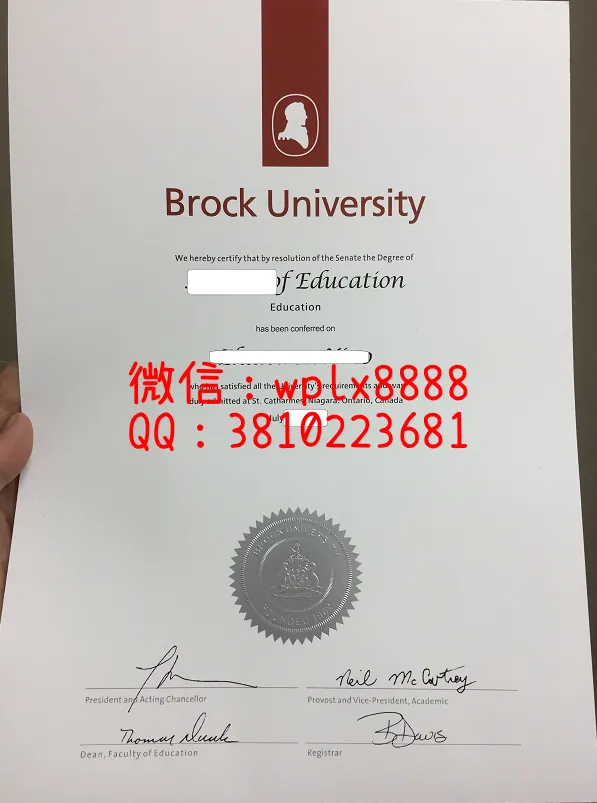 加拿大-布鲁克大学