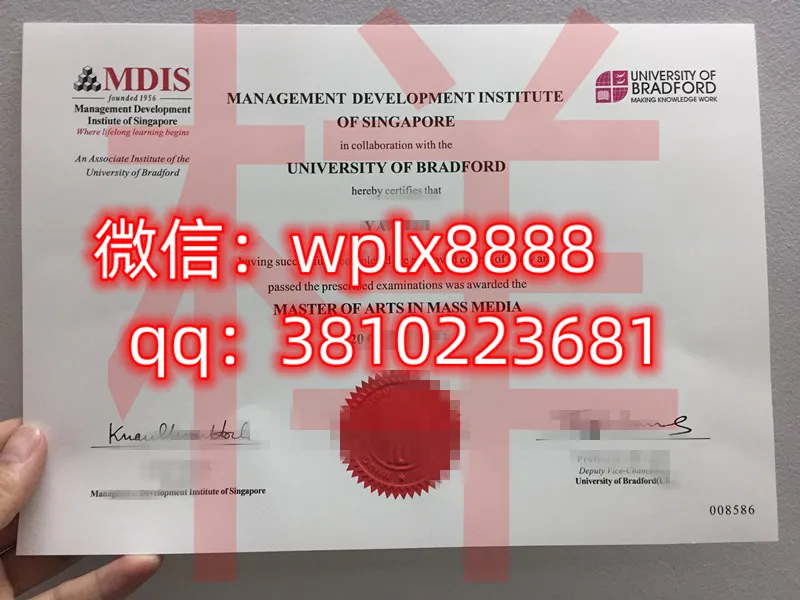 新加坡发展管理学院