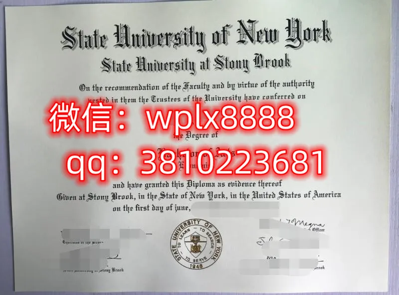 纽约州立大学石溪分校