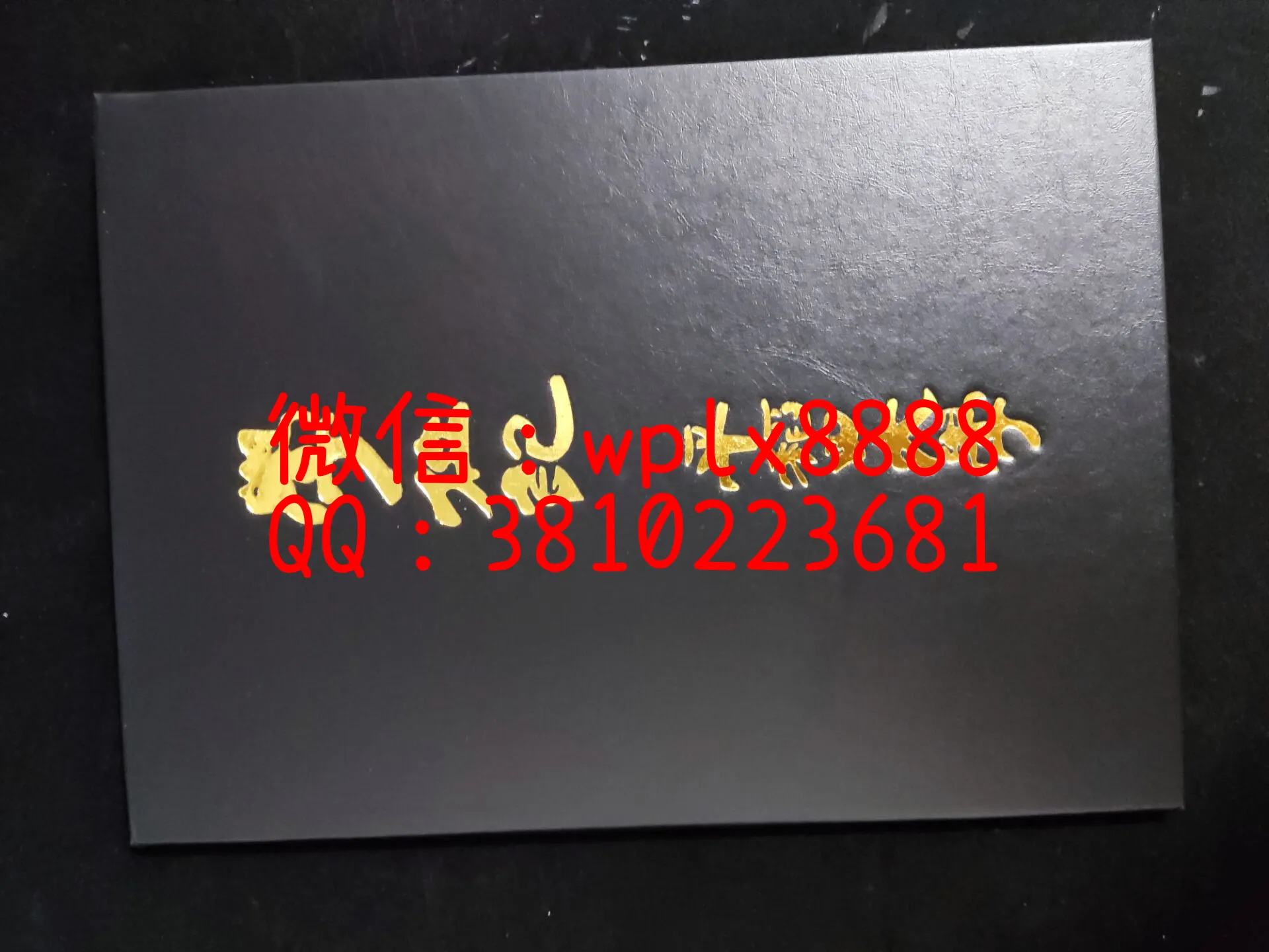 早稻田大学毕业证-壳子