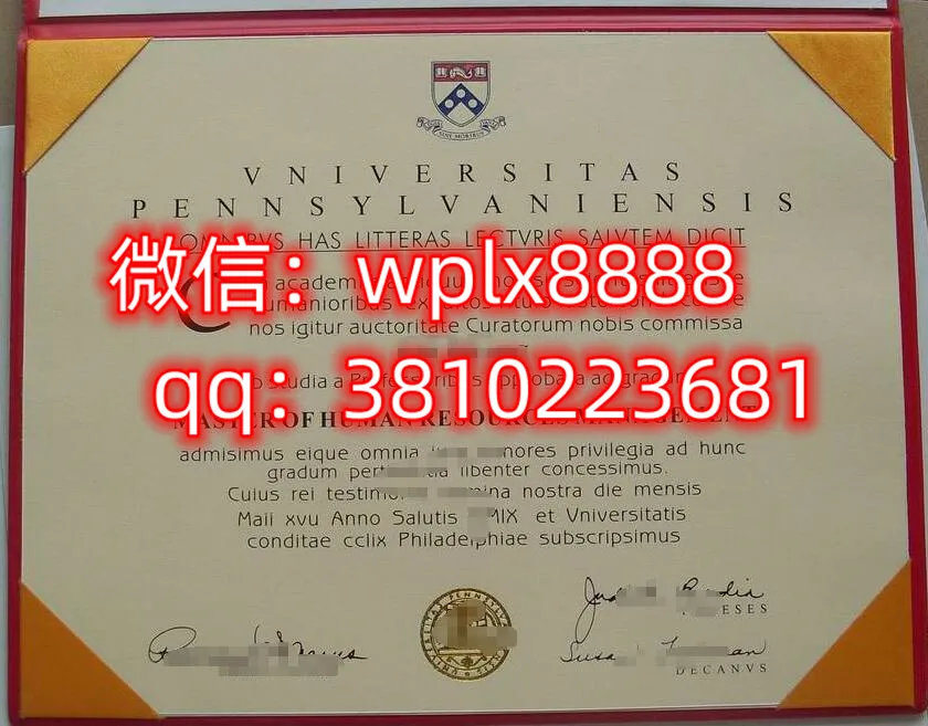 宾夕法尼亚大学