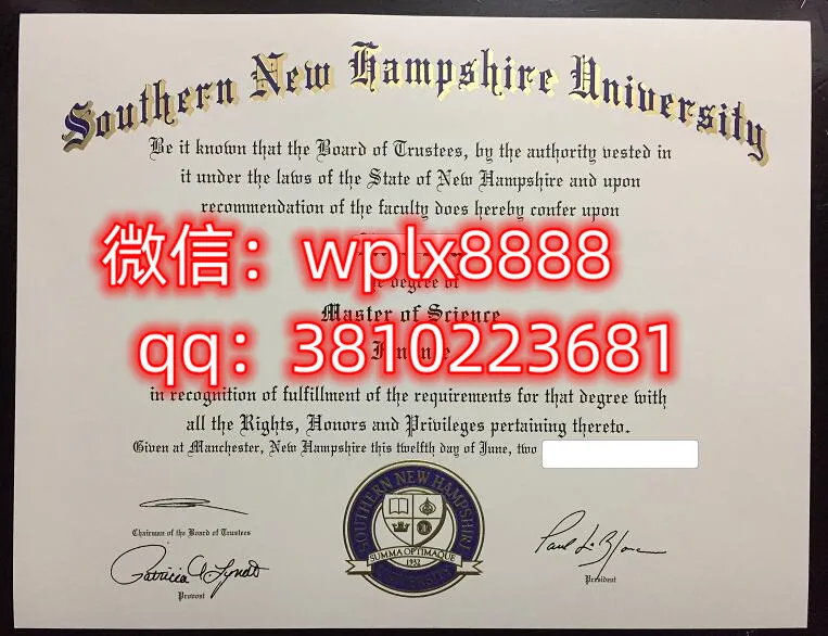 南新罕布什尔大学