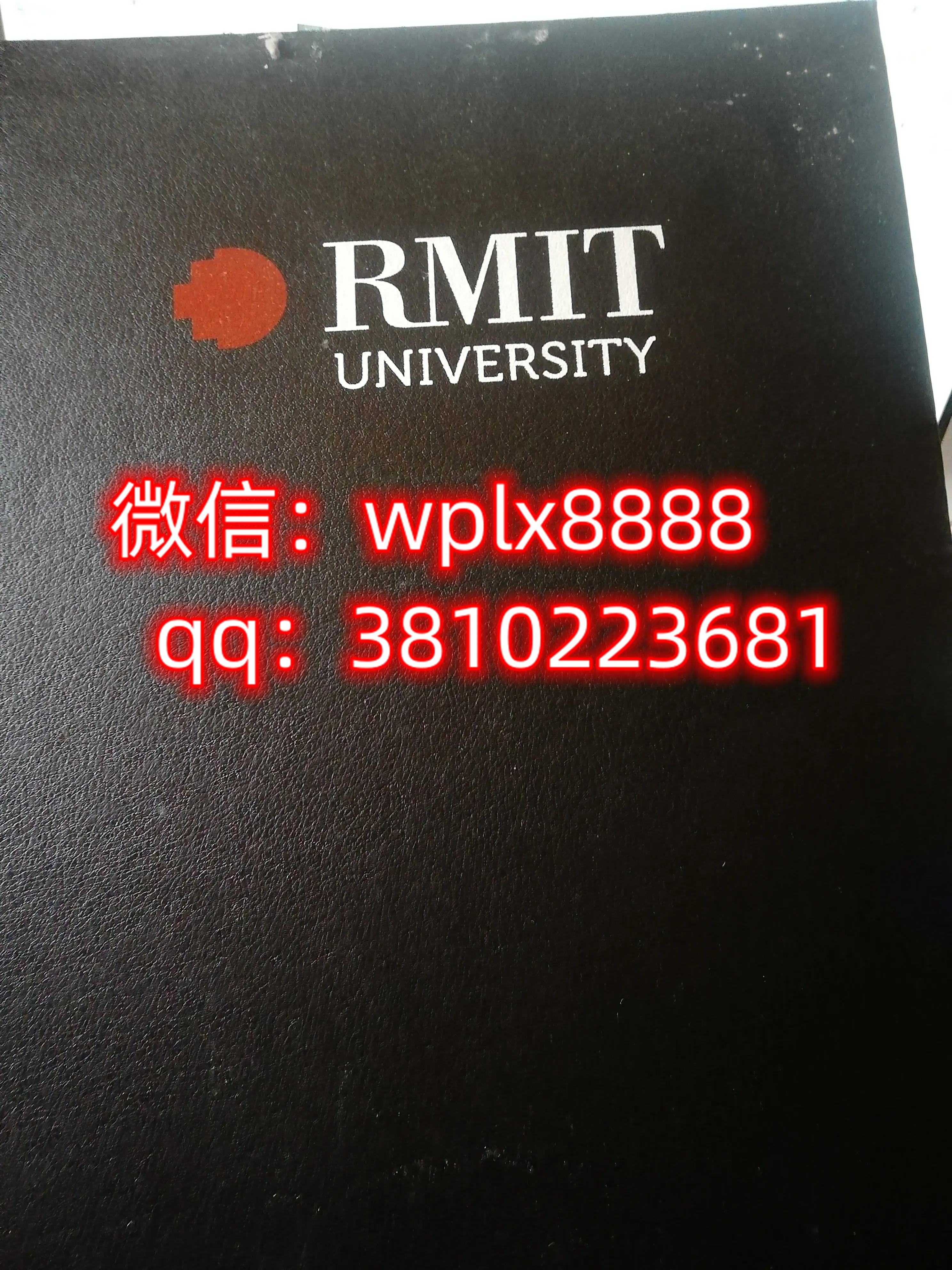 皇家墨尔本理工大学