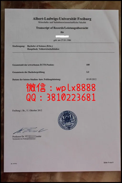 德国弗赖堡大学成绩单4_副本