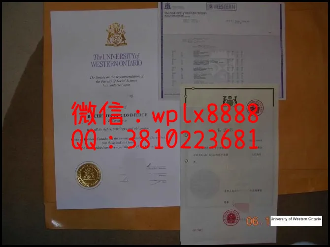 西安大略大学University-of-Western-Ontario_副本