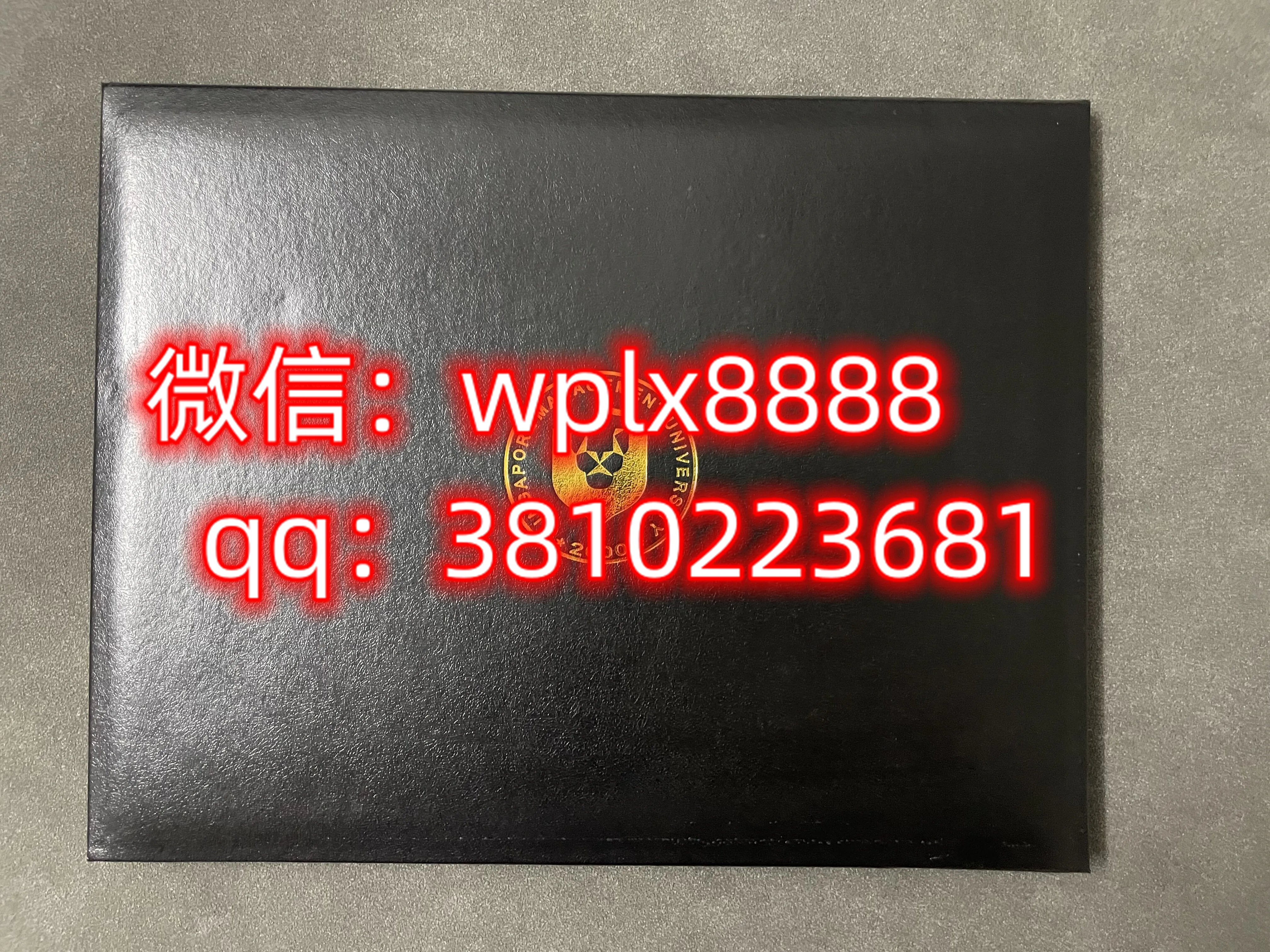 新加坡管理大学