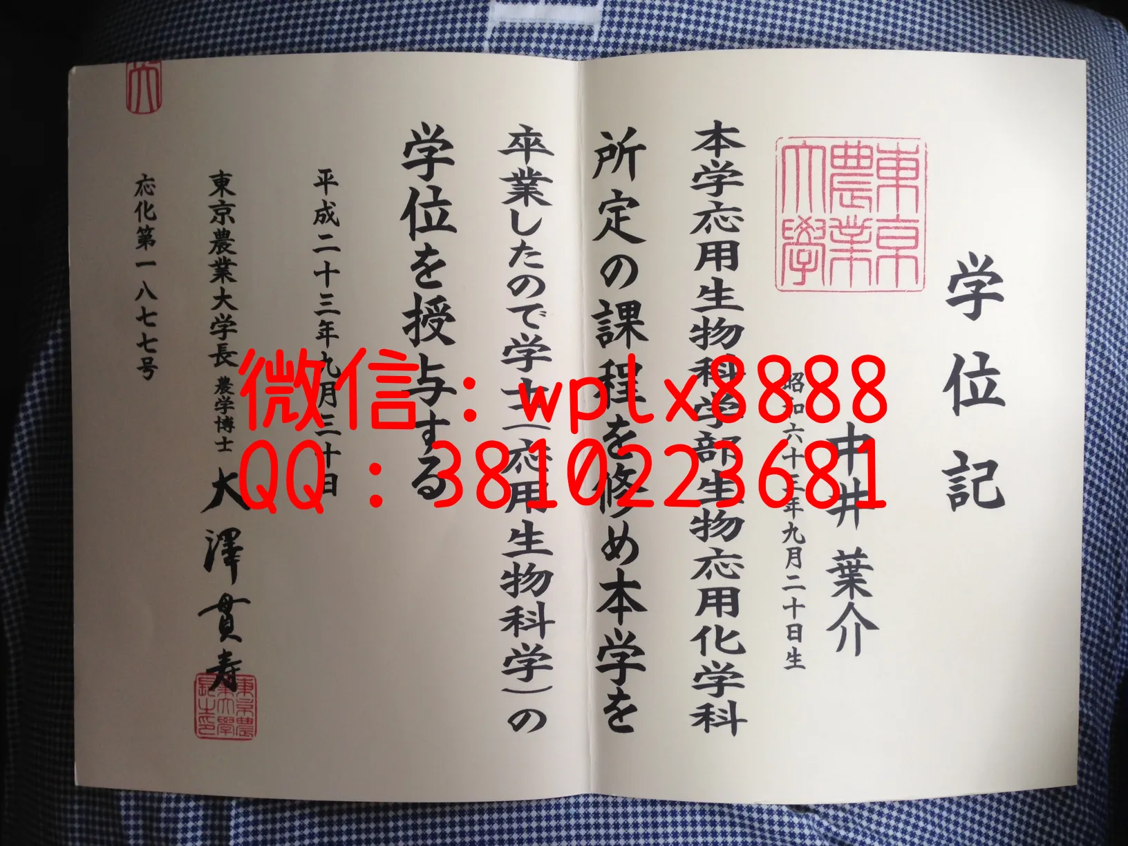 日本东京农业大学