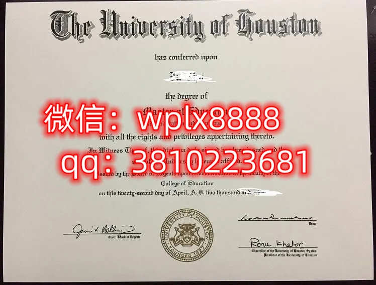 休斯敦大学