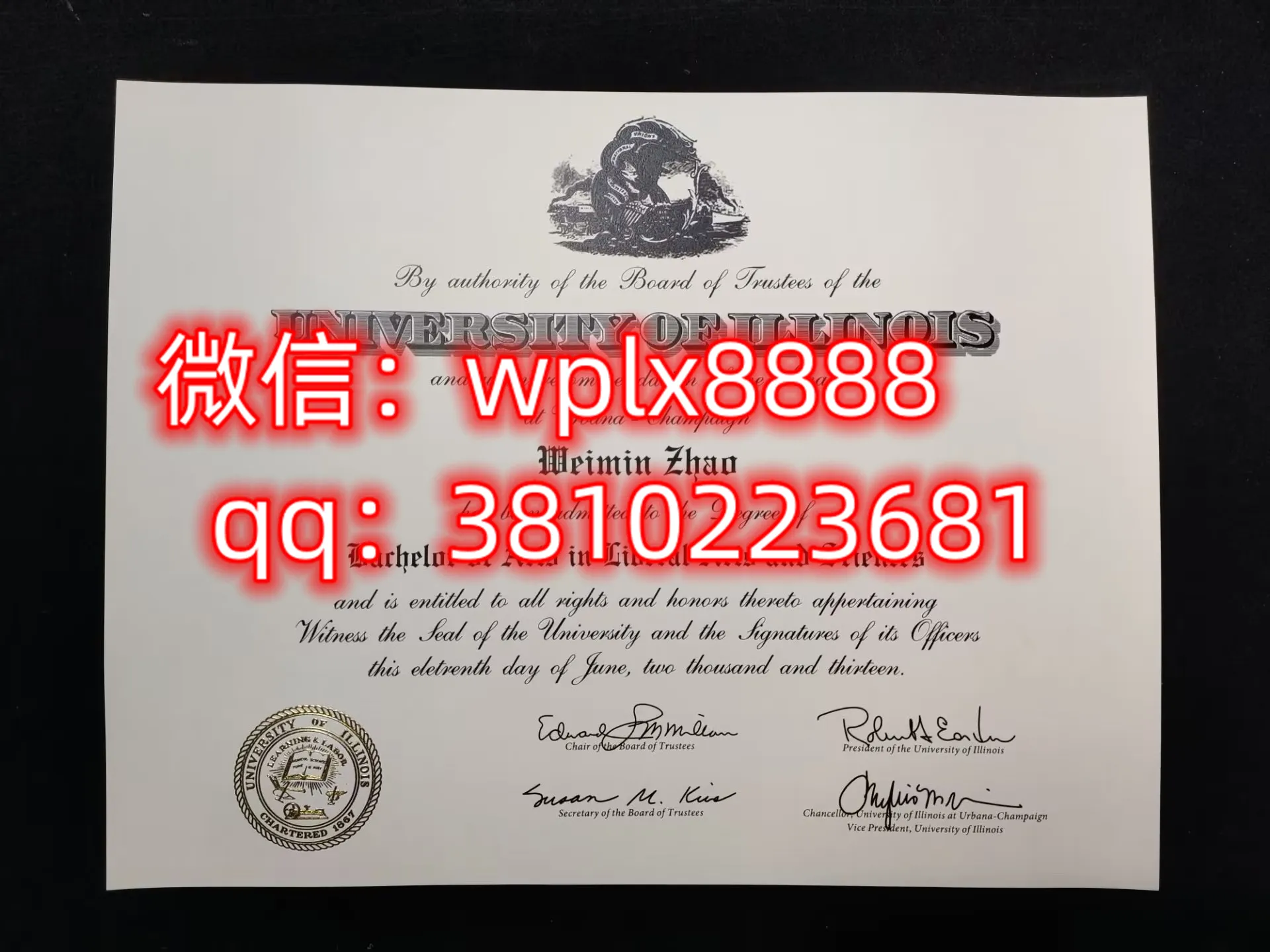 伊利诺伊大学香槟分校