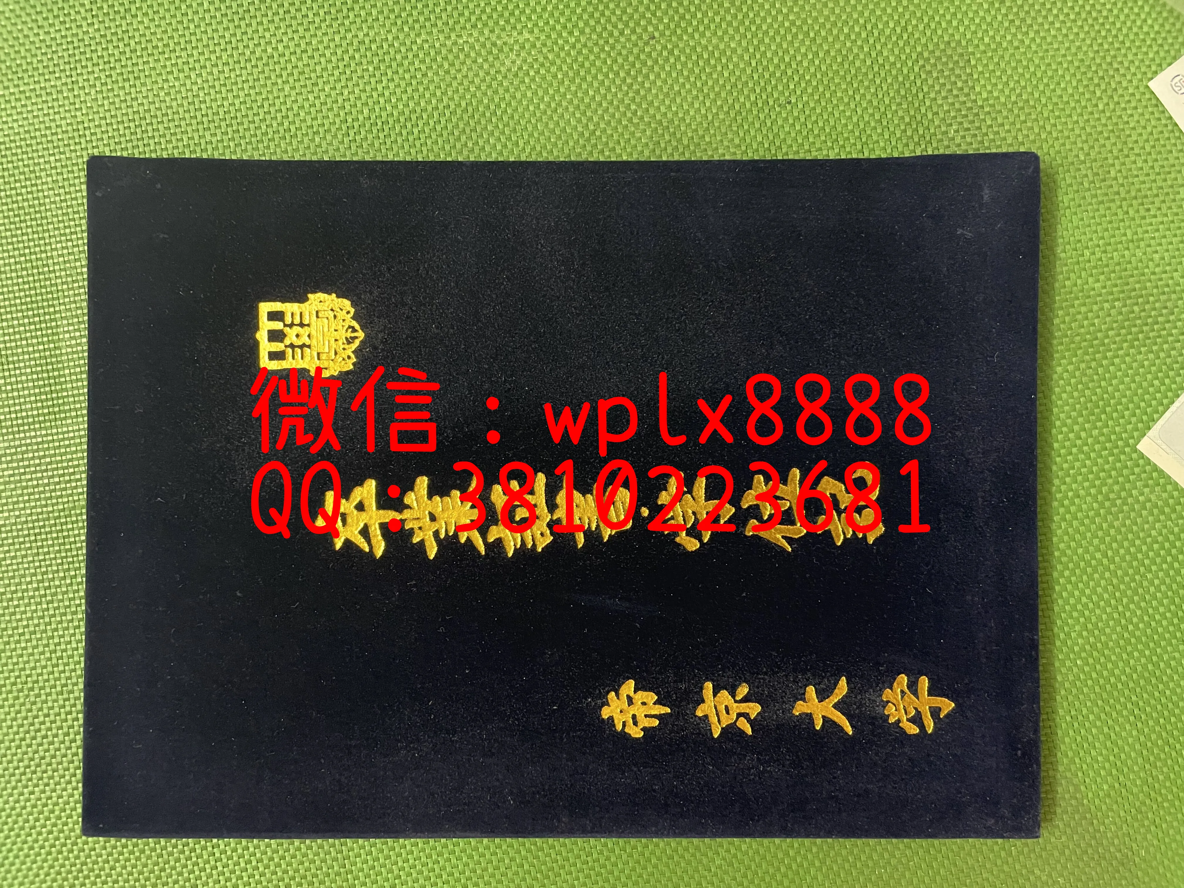 帝京大学壳子-成品