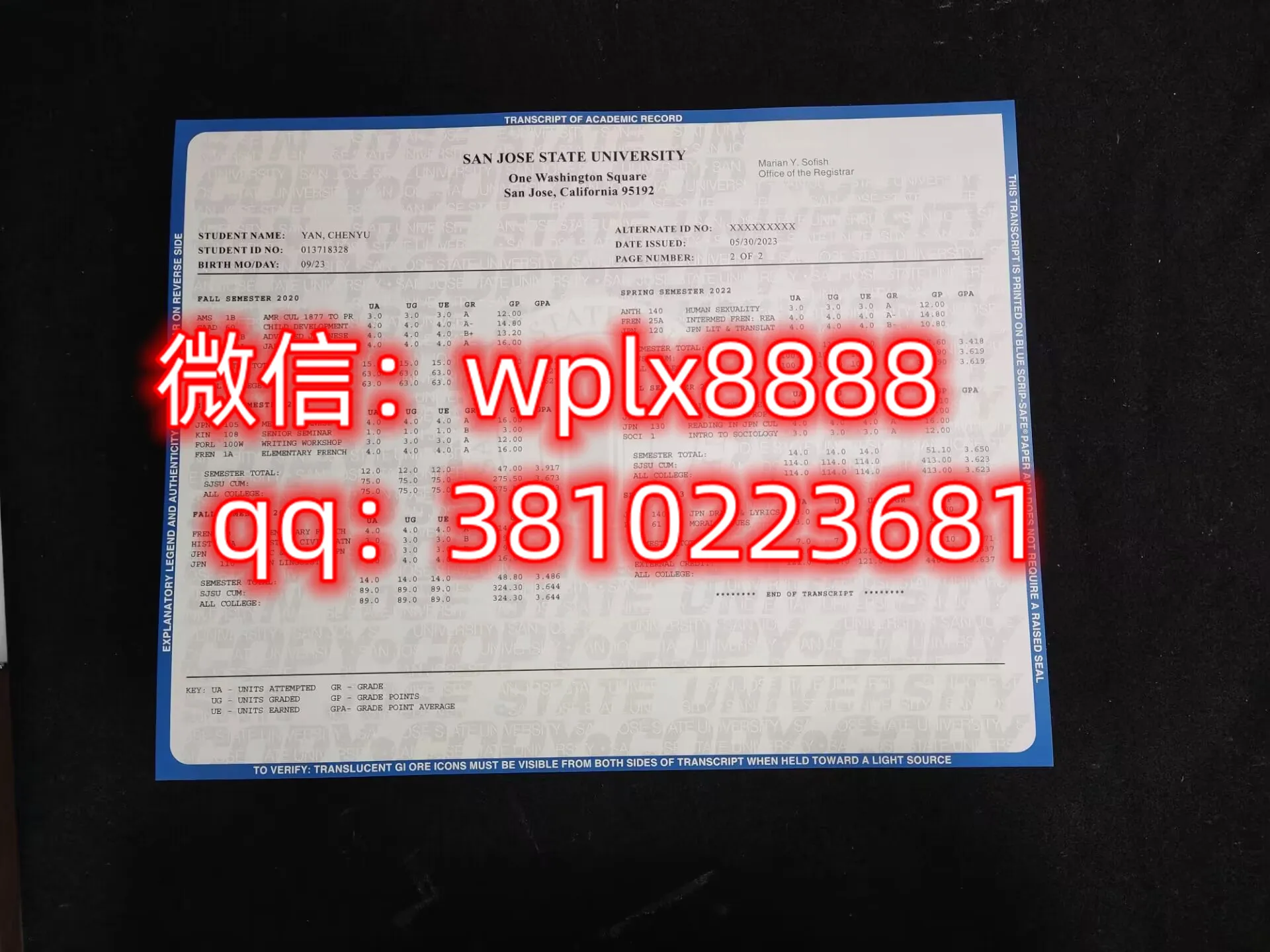 美国圣何塞州立大学