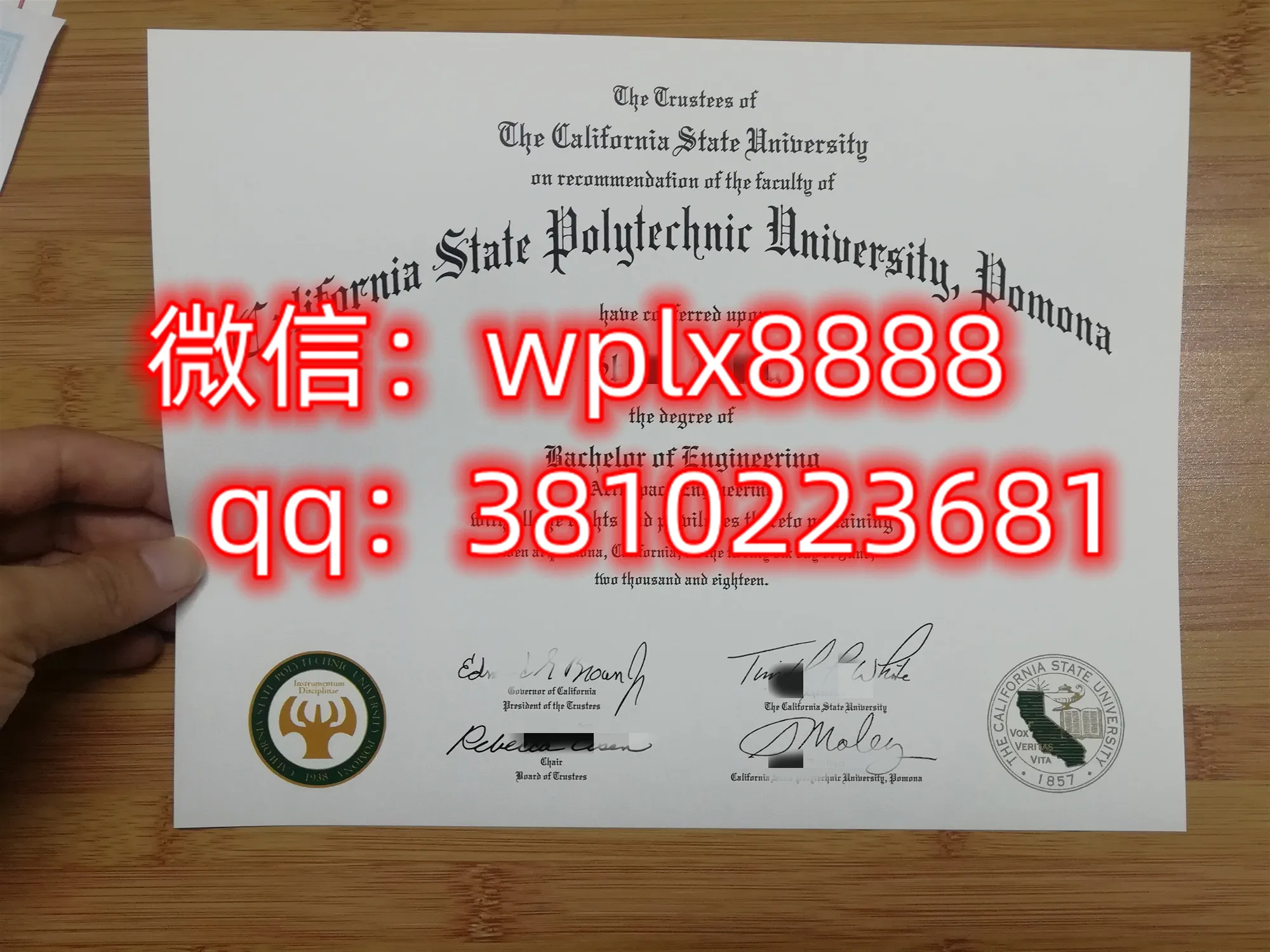 波莫纳加州理工大学