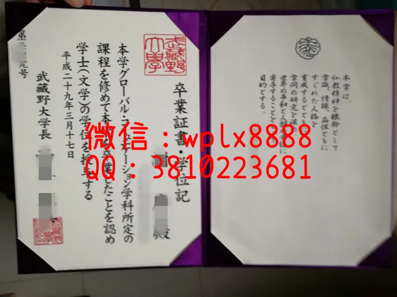 武藏野大学新版毕业证实拍样本