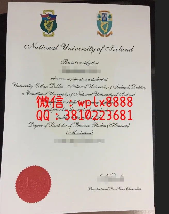 都柏林大学学院毕业证