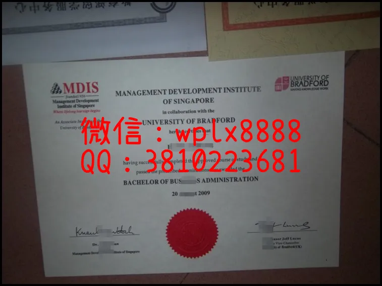 新加坡管理发展学院毕业证1_副本