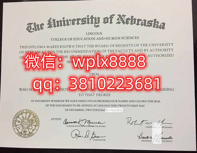 内布拉斯加大学林肯分校