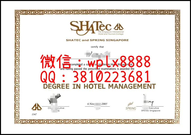酒店与旅游管理学院Shatec-and-spring-singapore_副本