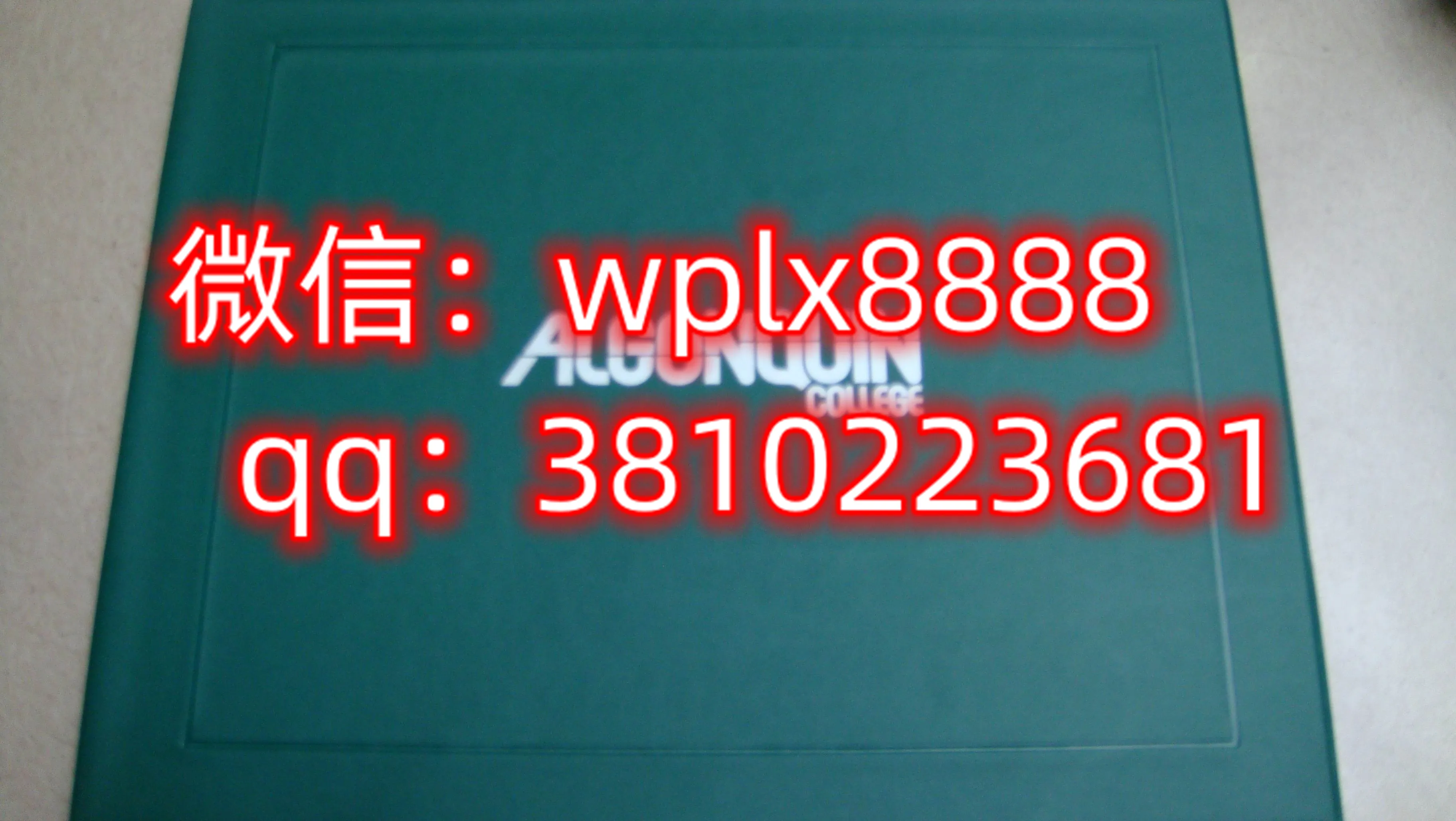 加拿大百年理工大学