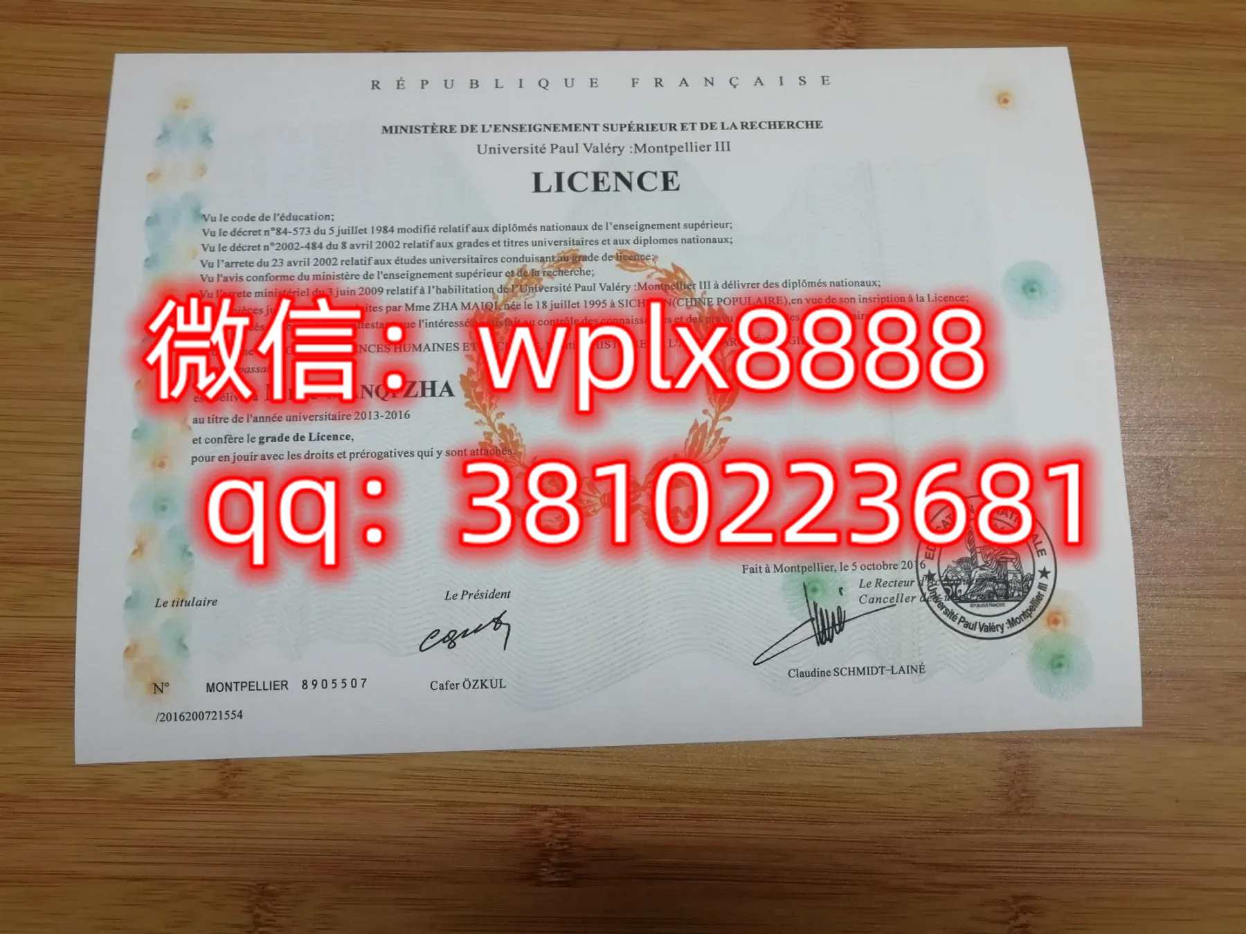 法国蒙比利埃第三大学