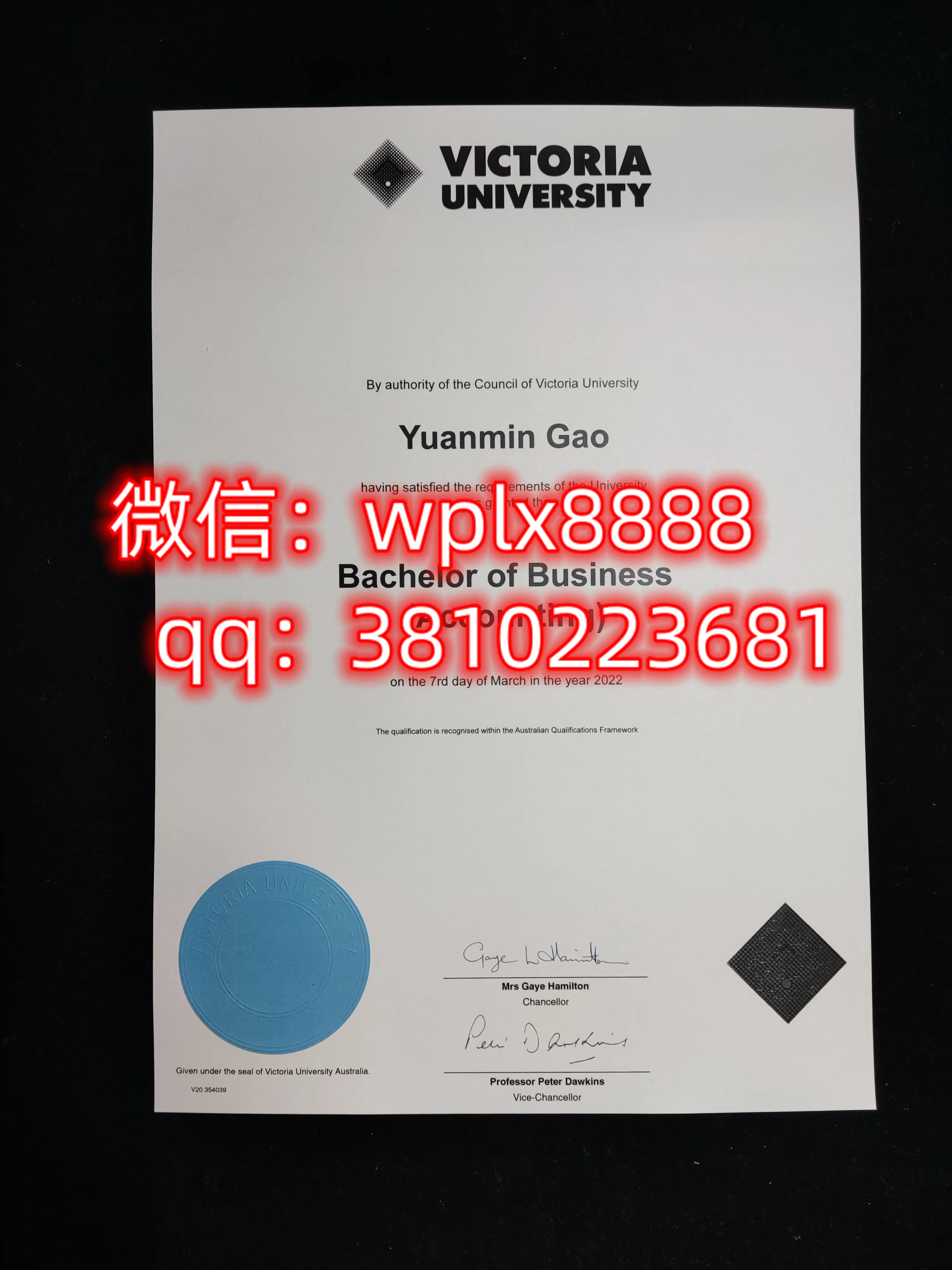 维多利亚大学