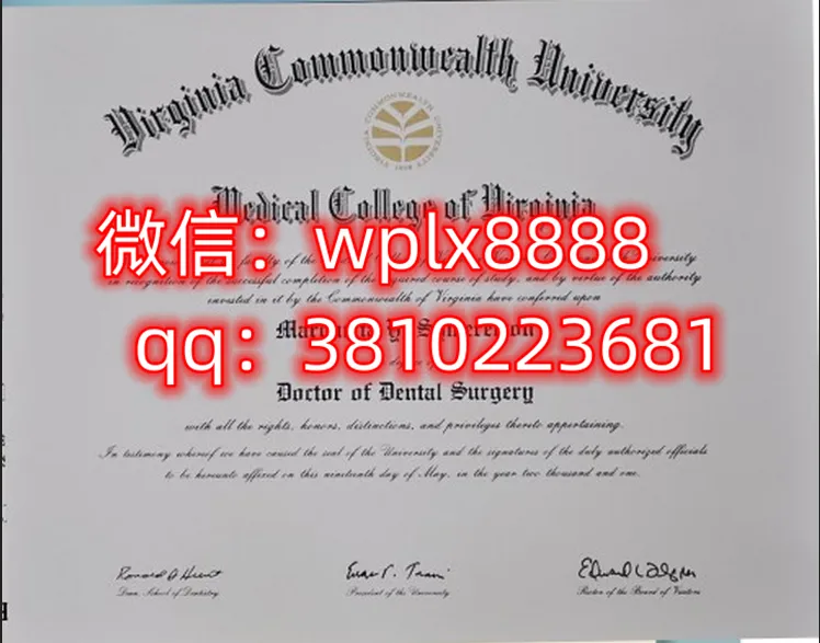 弗吉尼亚联邦大学