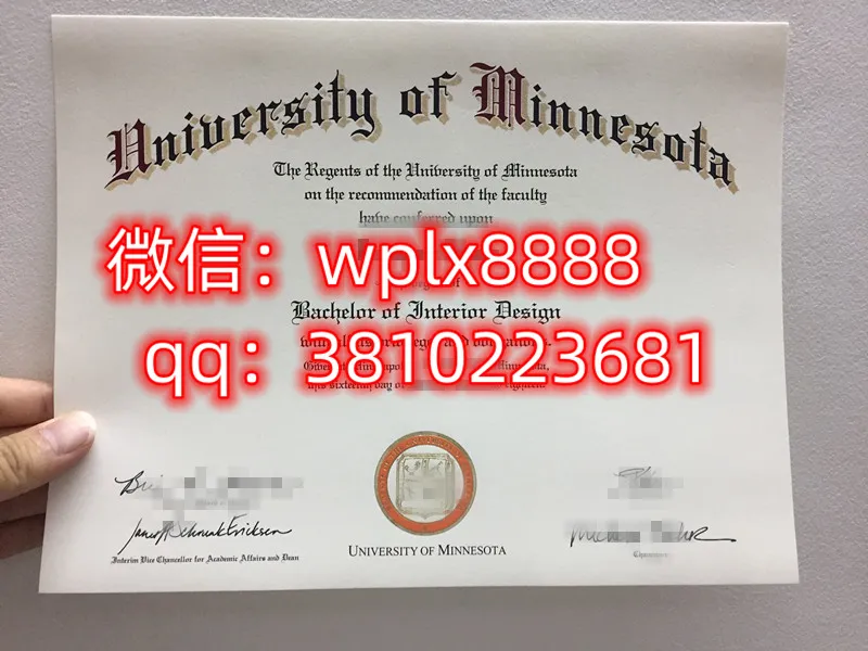 明尼苏达大学双城分校