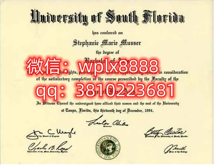 南佛罗里达大学