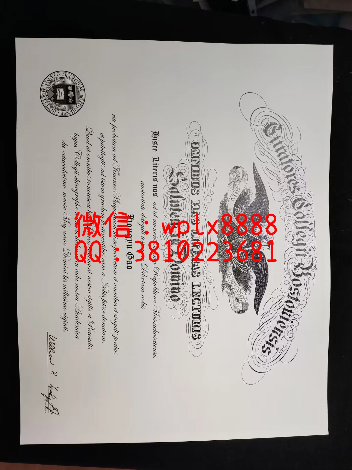 美国波士顿学院-成品Hongyu-Gao-C