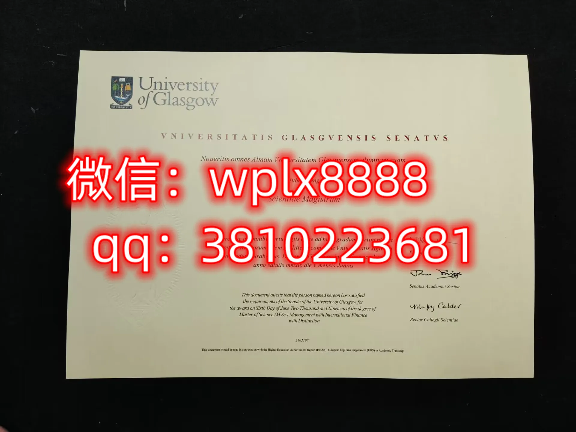 格拉斯哥大学
