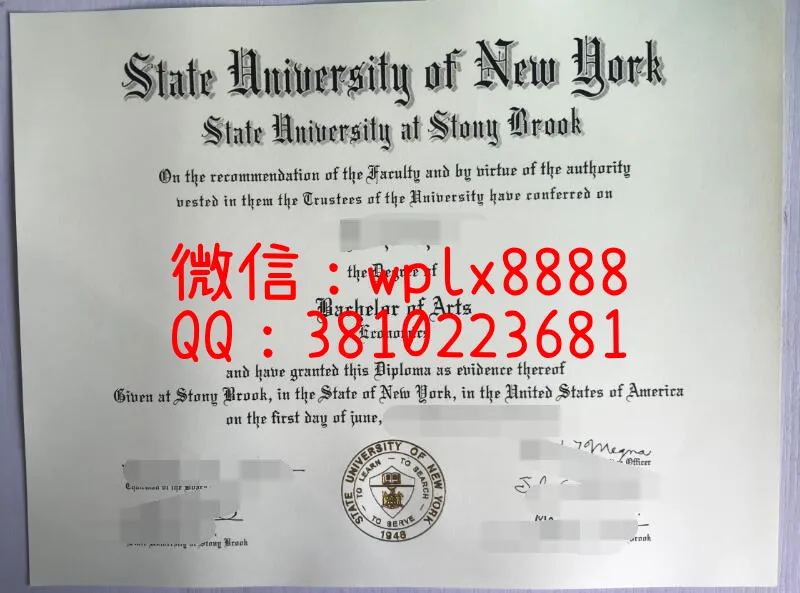纽约州立大学石溪分校