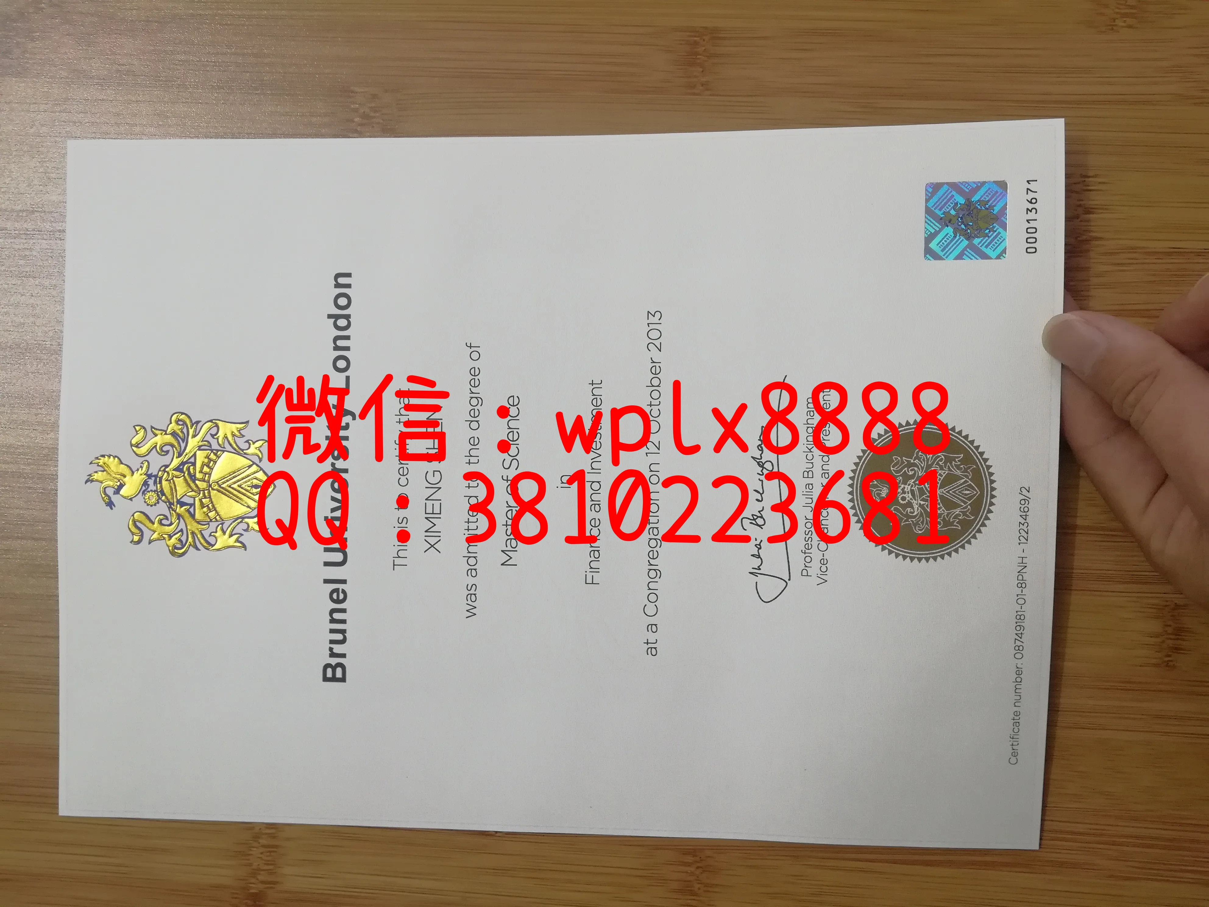 布鲁内尔大学毕业证