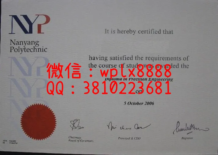 新加坡南洋理工学院毕业证