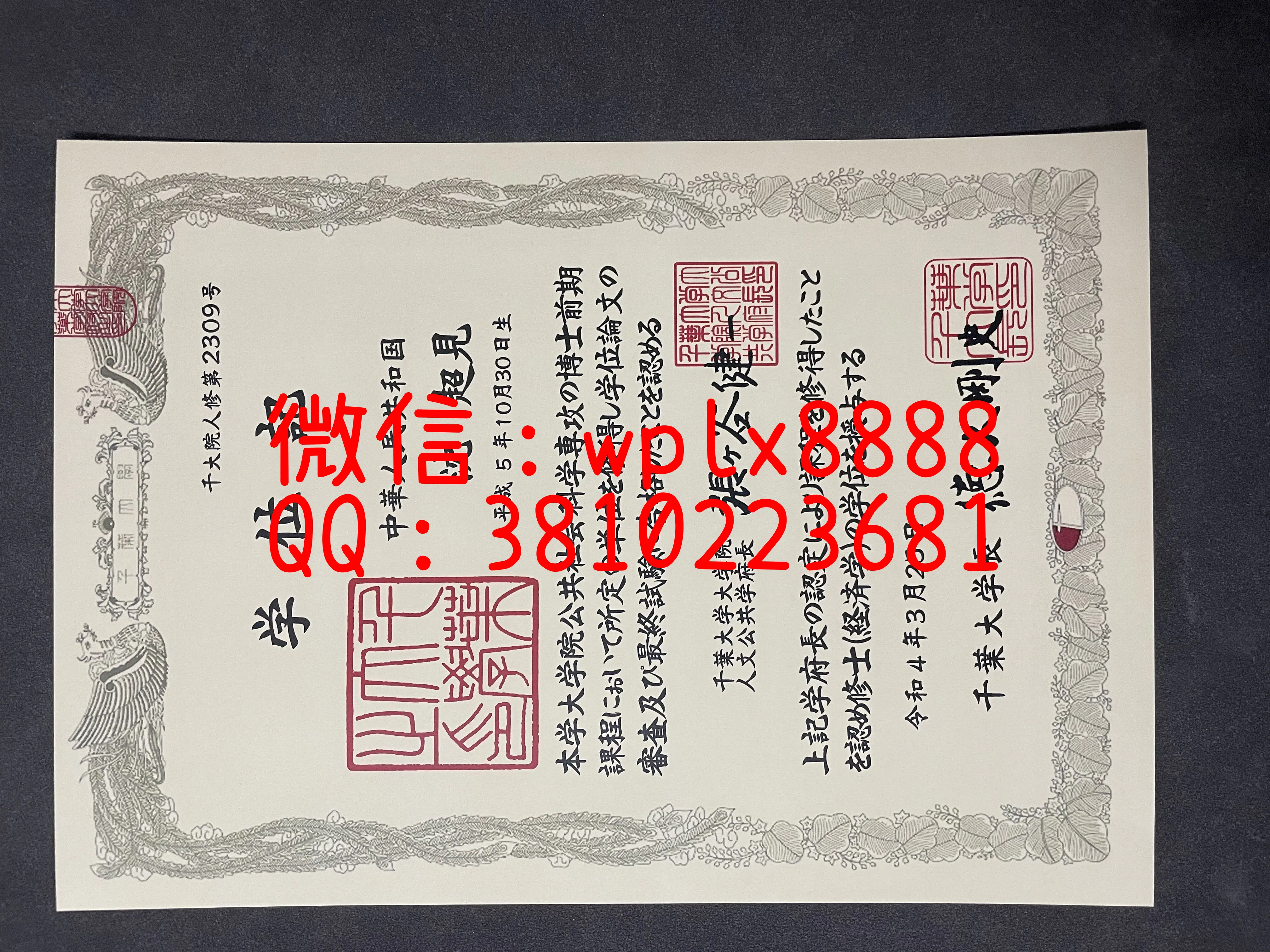 千叶大学毕业证-成品