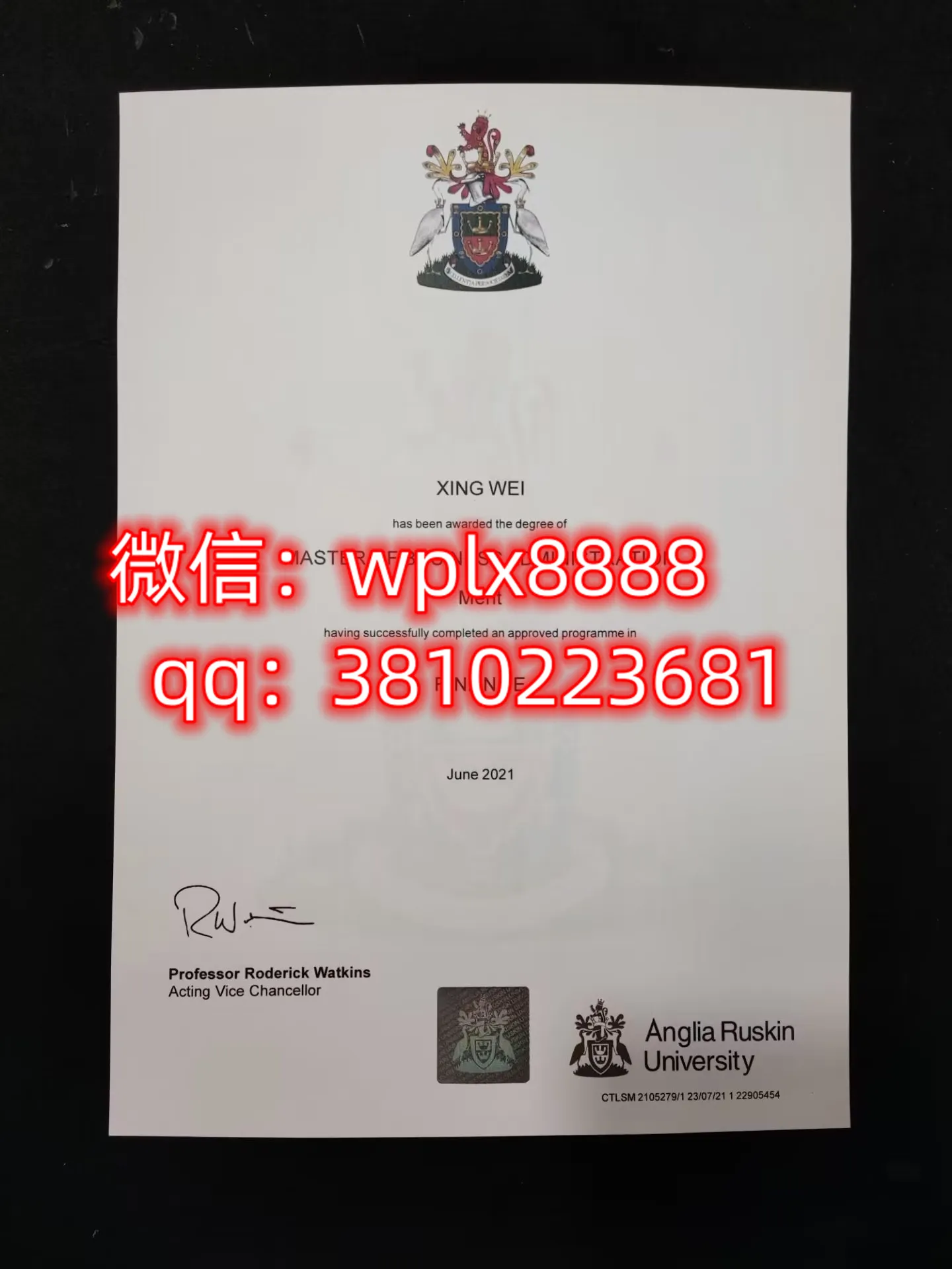 安格利亚鲁斯金大学