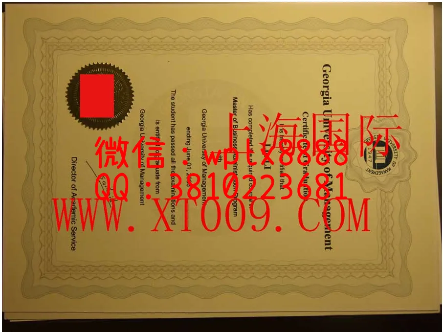 乔治亚大学毕业证