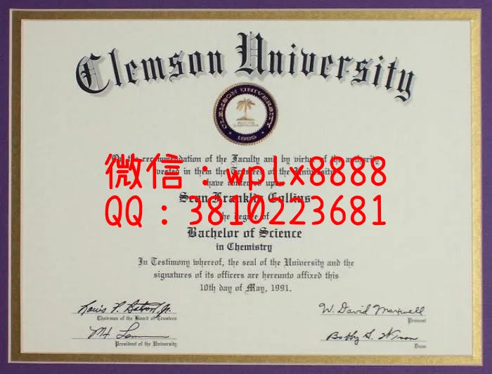 克莱姆森大学clemson-university