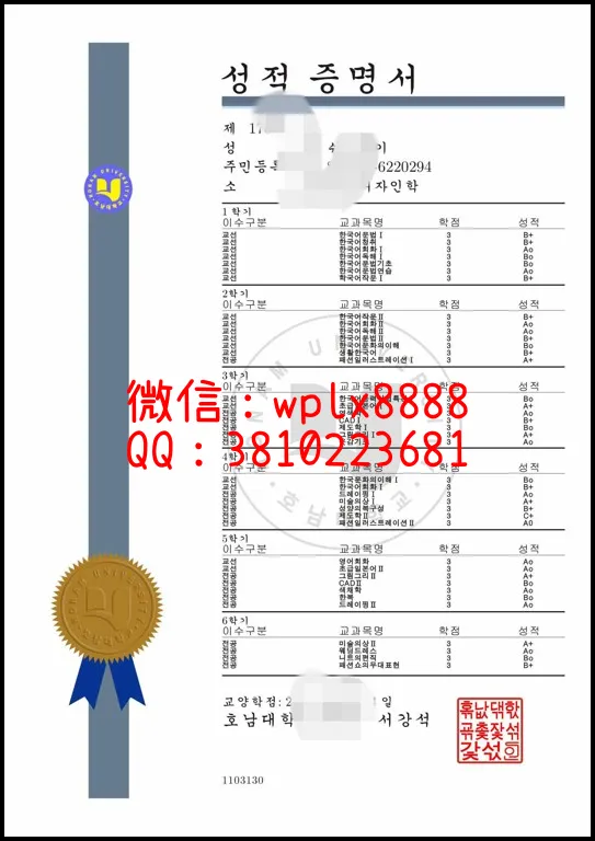 韩国湖南大学成绩单_副本-副本