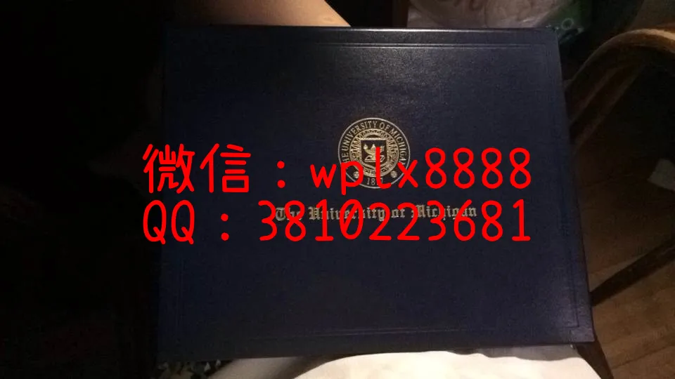 美国密歇根大学