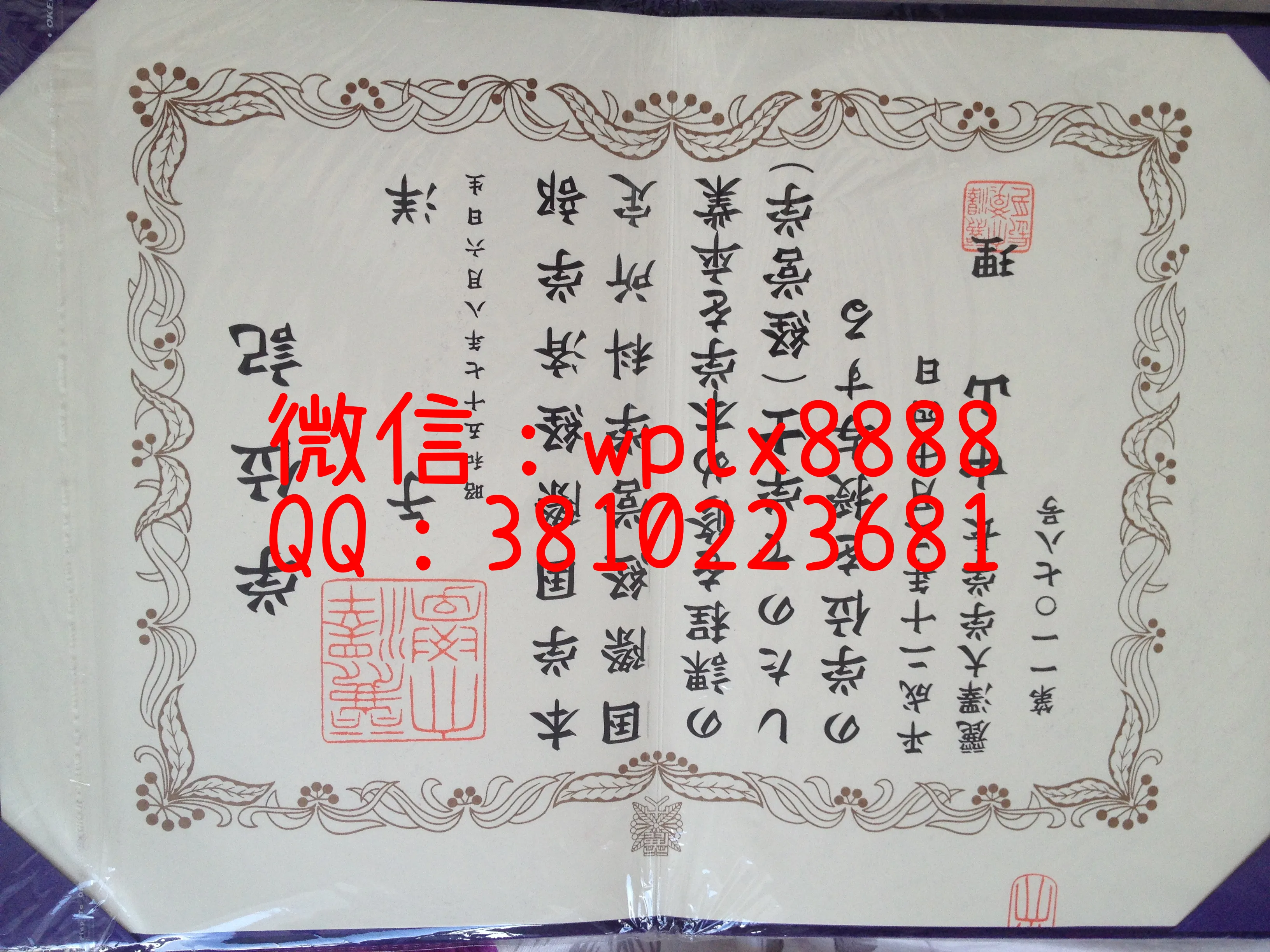 丽泽大学毕业证-