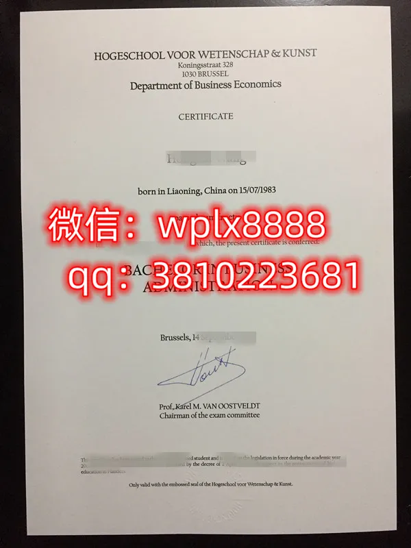 比利时科学艺术大学学院