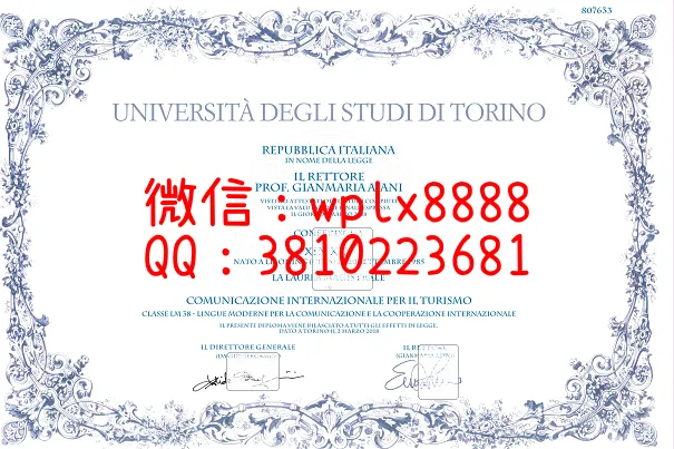 都灵大学毕业证