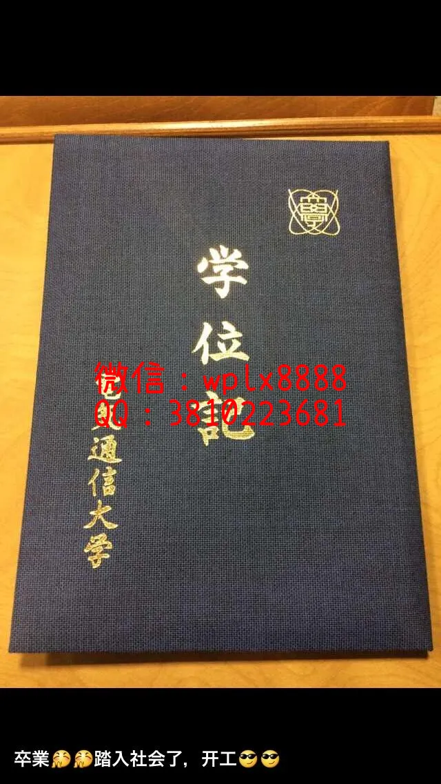 日本电气通信大学毕业证样本成绩单模板