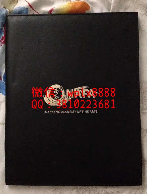 南洋艺术学院毕业证外壳