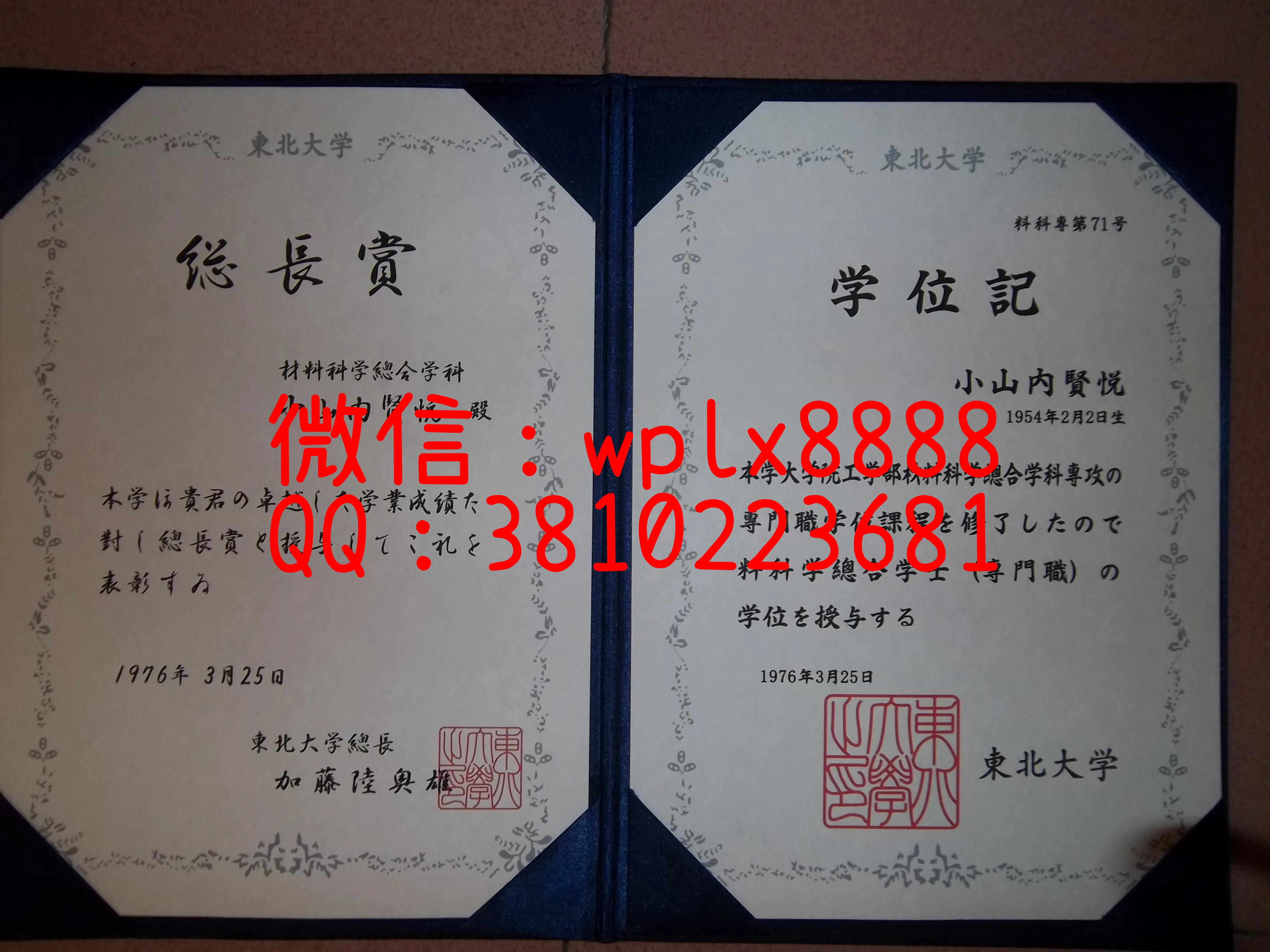 日本东北大学毕业证