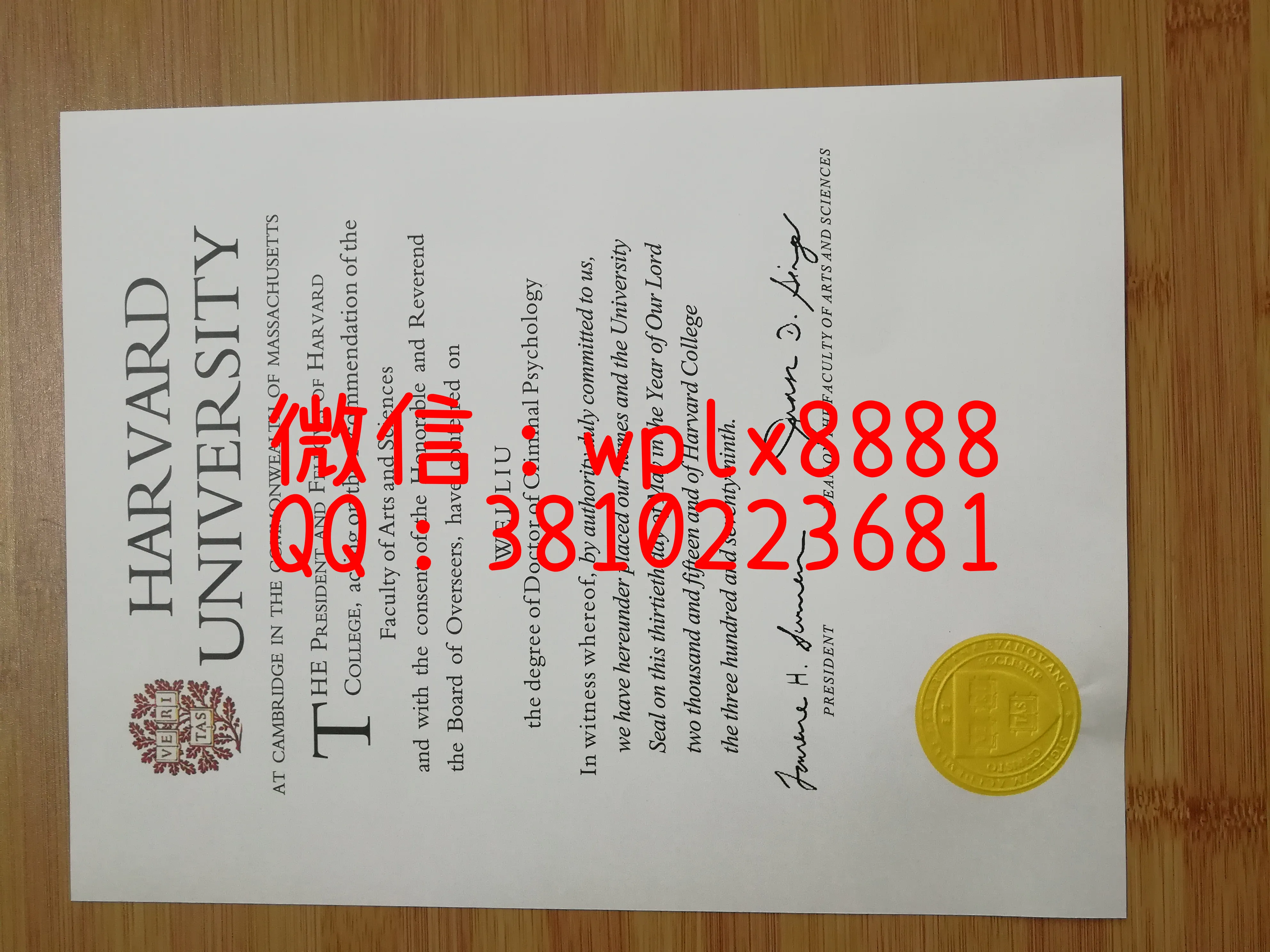 哈佛大学毕业证特写