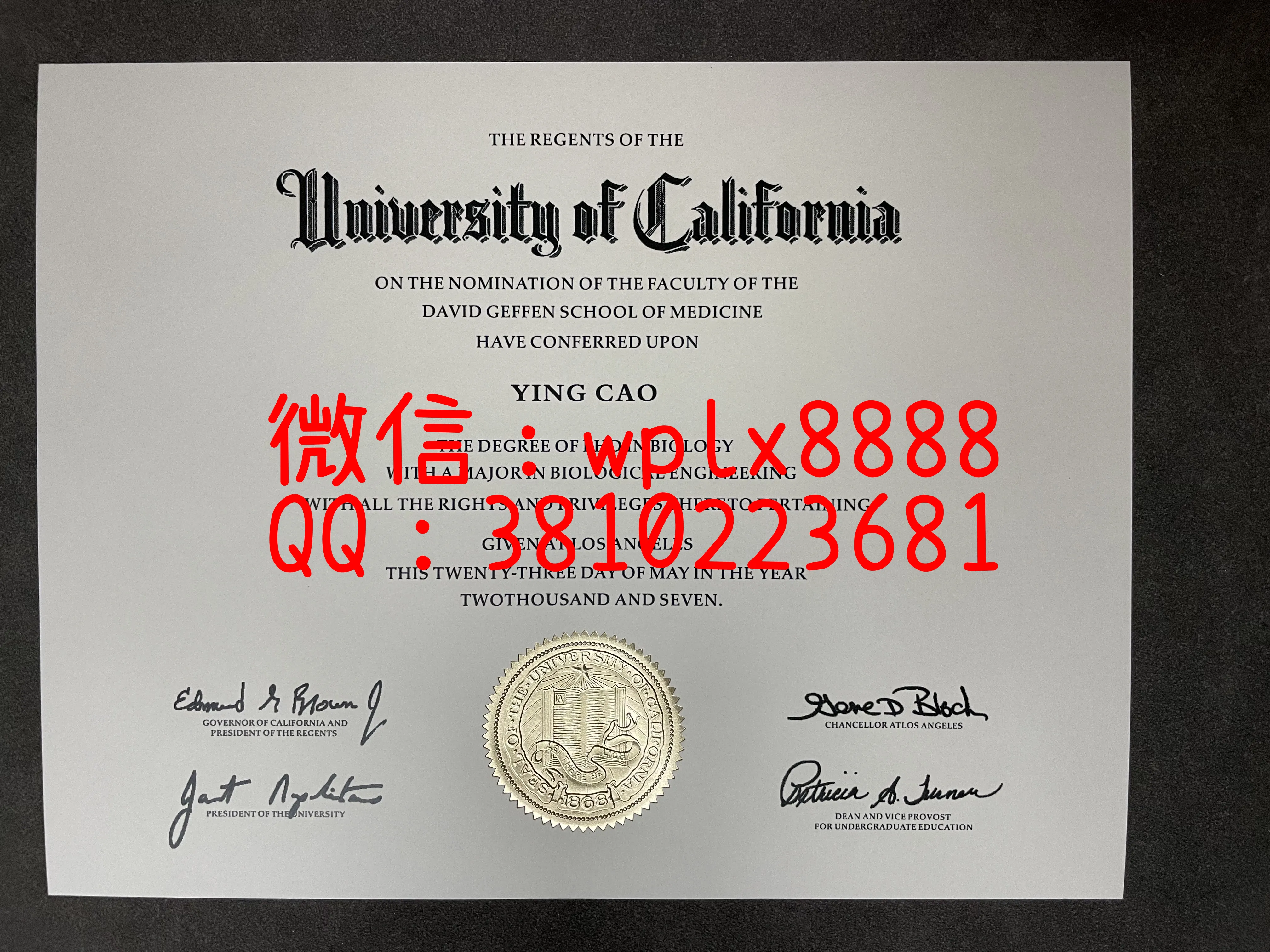 美国加州大学洛杉矶分校-成品