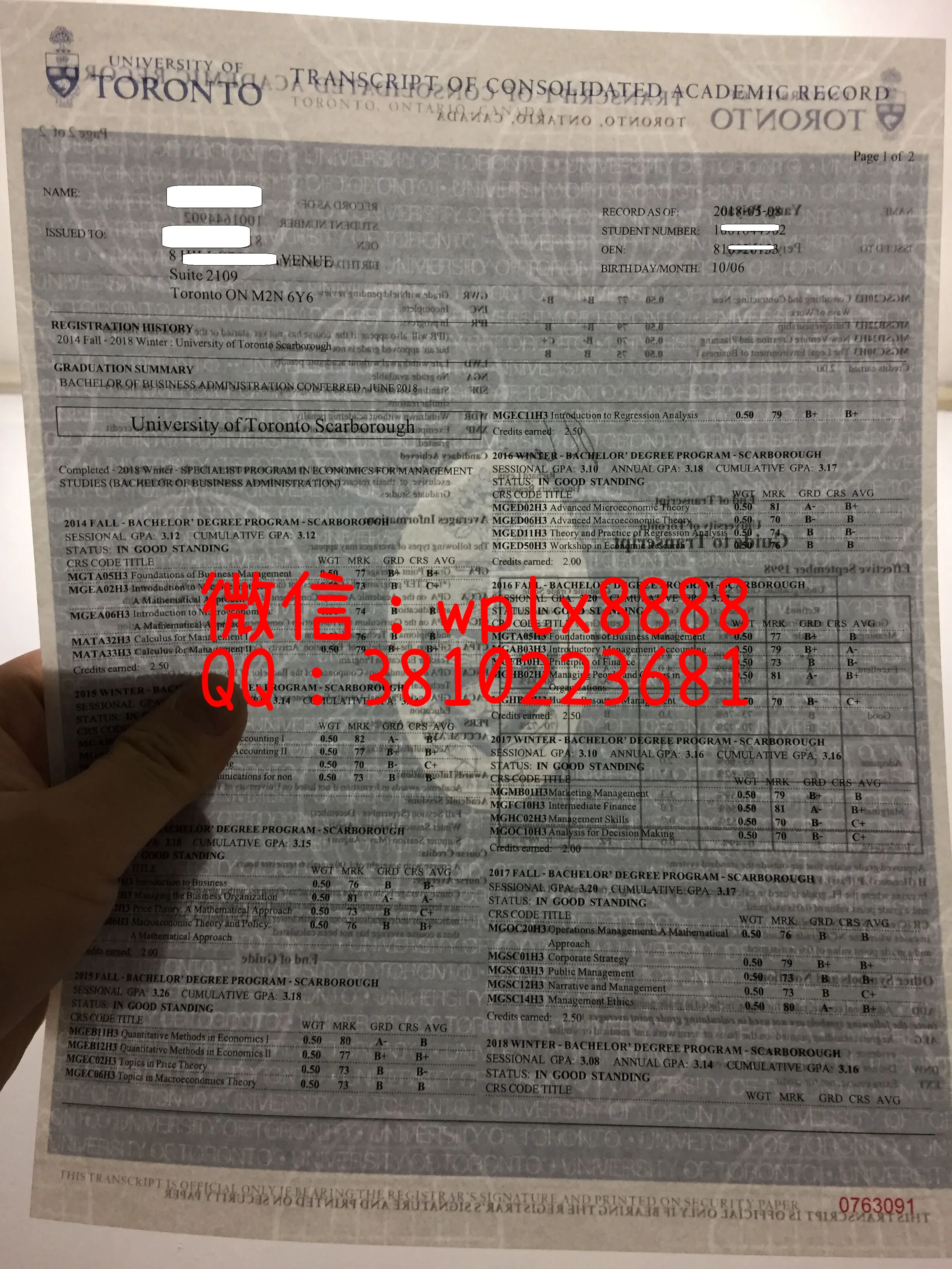 多伦多大学成绩单-水印